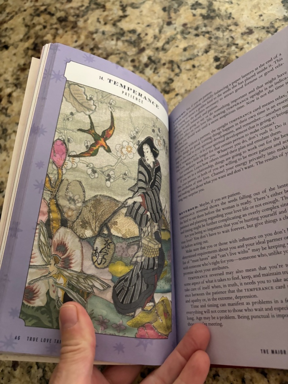 True Love Tarot Deck & Book Set - Red - Picture 4 of 5